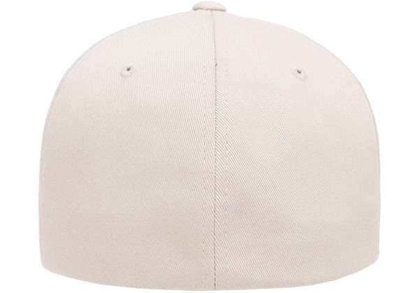 dad hat back view