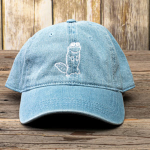 Denim_Dad_hat_with_frog_embroidery
